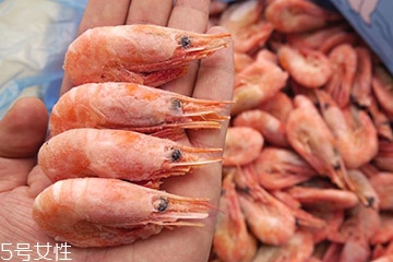 北極蝦是海鮮嗎 北極蝦是深海蝦 北極蝦是海鮮嗎 北極蝦是深海蝦