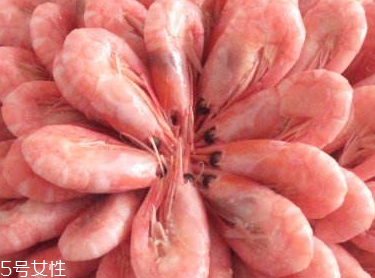 北極蝦能給小孩吃嗎 寶寶吃了身體好 北極蝦能給小孩吃嗎 寶寶吃了身體好