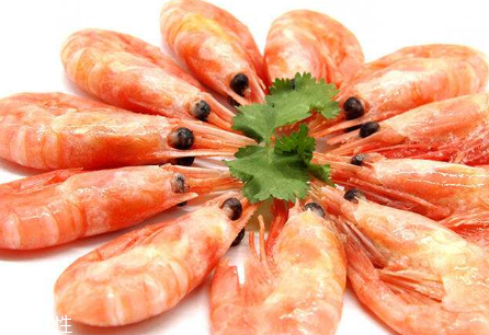 北極蝦頭上的棕色能吃嗎 北極蝦頭上的棕色能吃嗎