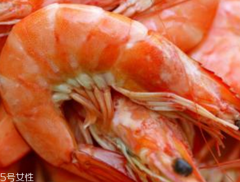 北極蝦的熱量 低熱量高蛋白 北極蝦的熱量 低熱量高蛋白