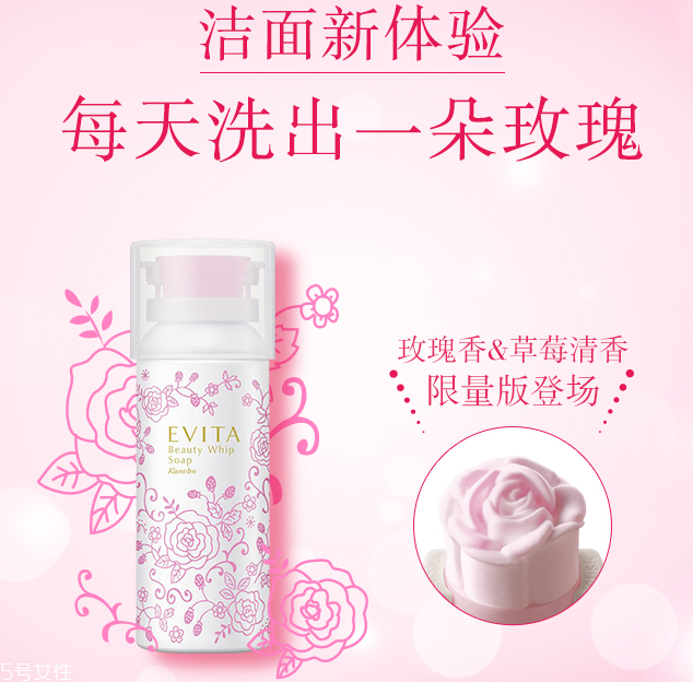 嘉娜寶玫瑰潔面多少錢 kanebo玫瑰洗面奶 嘉娜寶玫瑰潔面多少錢 kanebo玫瑰洗面奶