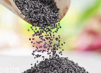 罌粟籽的功效和作用 罌粟籽的功效和作用