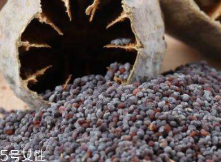 罌粟籽和大麻籽屬于什么 罌粟籽和大麻籽屬于什么