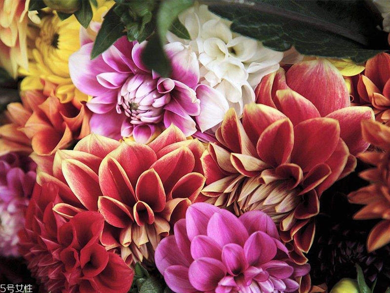 職場(chǎng)小白怎么挑香水 清新果香是首選 職場(chǎng)小白怎么挑香水 清新果香是首選