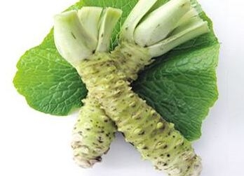 山葵的選購技法很簡(jiǎn)單 山葵的選購技法很簡(jiǎn)單