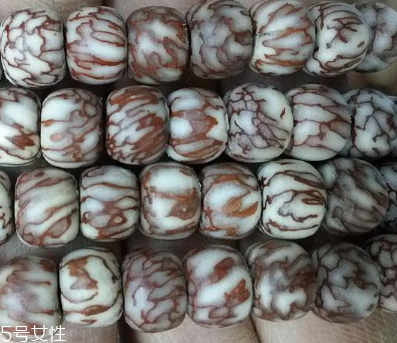 血絲菩提和星月菩提哪個(gè)好 科普菩提小知識(shí) 血絲菩提和星月菩提哪個(gè)好 科普菩提小知識(shí)