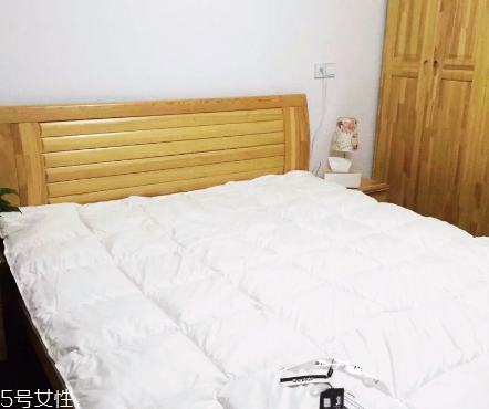 羽絨被什么牌子最好 十大品牌了解一下 羽絨被什么牌子最好 十大品牌了解一下