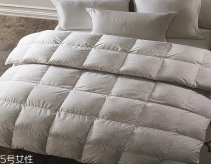 羽絨被對身體有害嗎 選擇大品牌 羽絨被對身體有害嗎 選擇大品牌