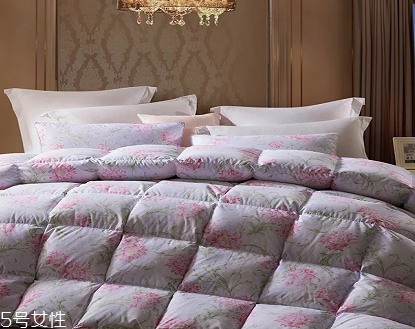 羽絨被對身體有害嗎 選擇大品牌 羽絨被對身體有害嗎 選擇大品牌