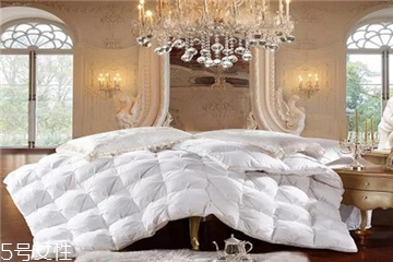 羽絨被對身體有害嗎 選擇大品牌 羽絨被對身體有害嗎 選擇大品牌