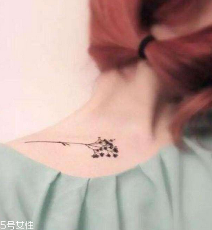 紋身能吃雞蛋嗎 雞蛋沒影響 紋身能吃雞蛋嗎 雞蛋沒影響