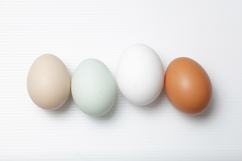 土雞蛋和飼料雞蛋營養(yǎng)價(jià)值一樣嗎 如何挑選優(yōu)質(zhì)雞蛋 土雞蛋和飼料雞蛋營養(yǎng)價(jià)值一樣嗎 如何挑選優(yōu)質(zhì)雞蛋