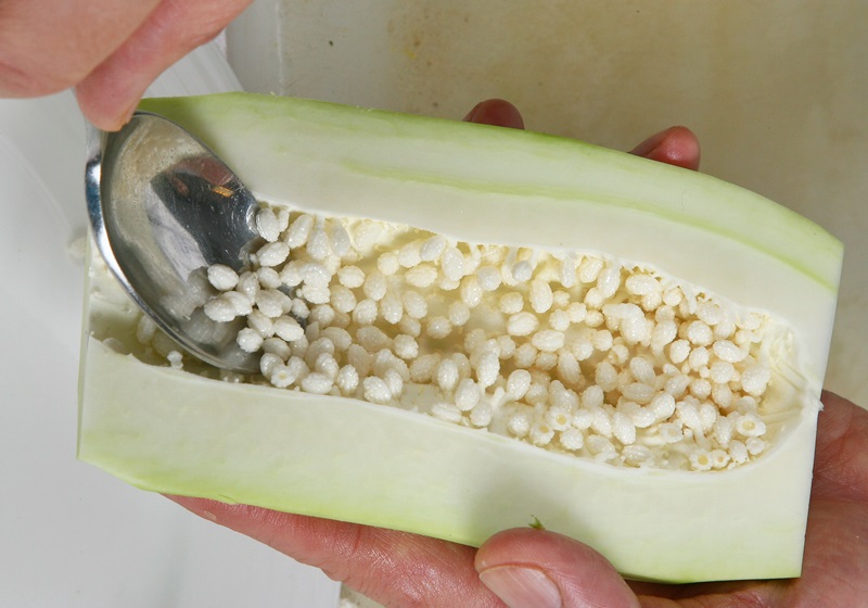 青木瓜怎么削皮手不癢 預(yù)防止癢雙把關(guān) 青木瓜怎么削皮手不癢 預(yù)防止癢雙把關(guān)