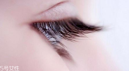 嫁接睫毛什么價位最合理 中型店鋪性價比最高 嫁接睫毛什么價位最合理 中型店鋪性價比最高