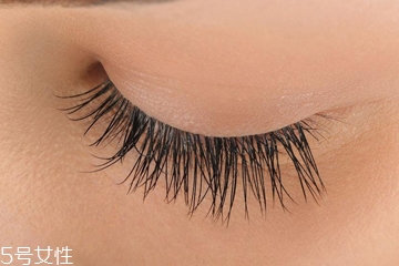 嫁接睫毛什么價位最合理 中型店鋪性價比最高 嫁接睫毛什么價位最合理 中型店鋪性價比最高