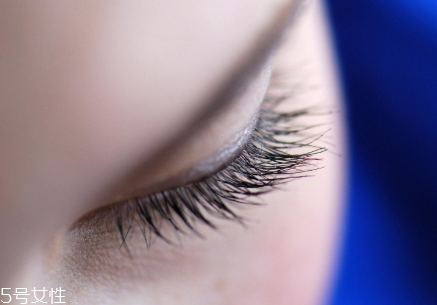嫁接睫毛什么價位最合理 中型店鋪性價比最高 嫁接睫毛什么價位最合理 中型店鋪性價比最高