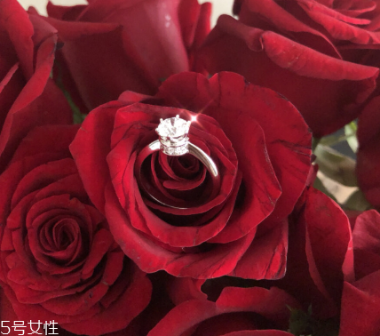 周生生伯爵皇冠多少錢 彰顯女王氣場(chǎng) 周生生伯爵皇冠多少錢 彰顯女王氣場(chǎng)