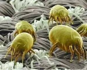 一次性洗臉巾什么品牌的好 比毛巾干凈衛(wèi)生太多 一次性洗臉巾什么品牌的好 比毛巾干凈衛(wèi)生太多