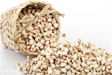 薏仁怎么吃 這樣做好吃有營(yíng)養(yǎng) 薏仁怎么吃 這樣做好吃有營(yíng)養(yǎng)