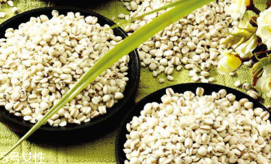 薏仁有什么食用禁忌 這幾類人要警惕 薏仁有什么食用禁忌 這幾類人要警惕