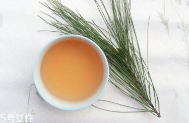 松針的功效與作用 主要有這三點 松針的功效與作用 主要有這三點