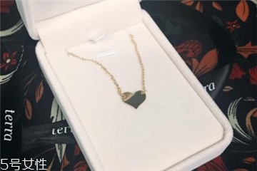 terra項(xiàng)鏈多少錢(qián) 夏季凹造型必備神器