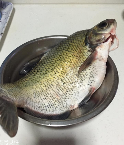 鳊魚(yú)可以做剁椒魚(yú)嗎 做起來(lái)很好吃 鳊魚(yú)可以做剁椒魚(yú)嗎 做起來(lái)很好吃