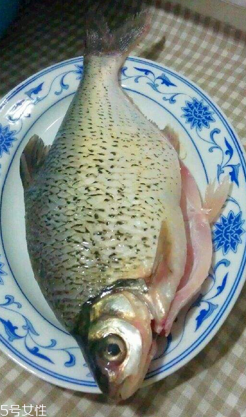 鳊魚(yú)可以做剁椒魚(yú)嗎 做起來(lái)很好吃 鳊魚(yú)可以做剁椒魚(yú)嗎 做起來(lái)很好吃