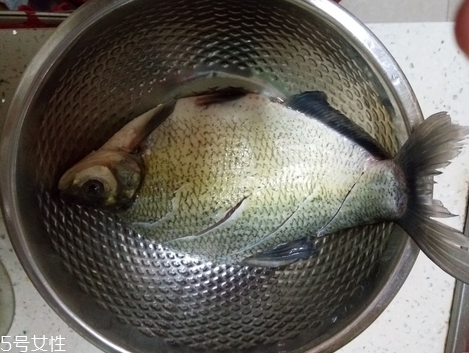 鳊魚可以做酸菜魚嗎 不是最佳搭配 鳊魚可以做酸菜魚嗎 不是最佳搭配