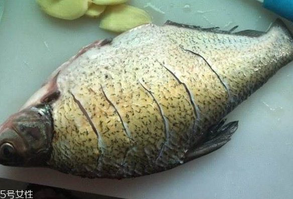 鳊魚有魚腥線嗎 淡水魚一般都有 鳊魚有魚腥線嗎 淡水魚一般都有