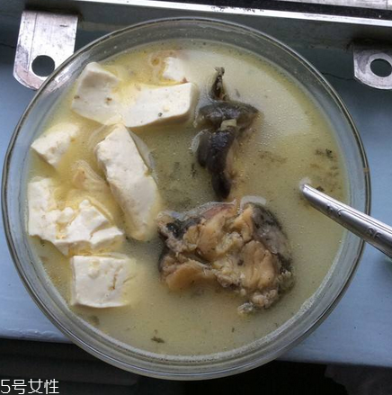 鯰魚為什么便宜 是這三個(gè)原因 鯰魚為什么便宜 是這三個(gè)原因