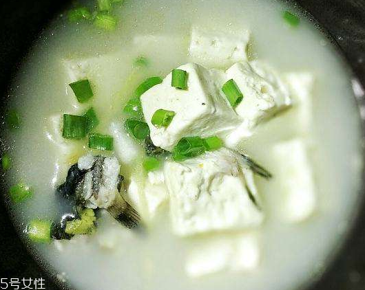 鯰魚為什么便宜 是這三個(gè)原因 鯰魚為什么便宜 是這三個(gè)原因