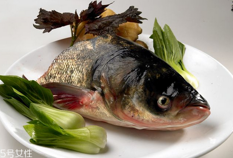 胖頭魚(yú)晚上可以釣嗎 這兩個(gè)時(shí)間段最好