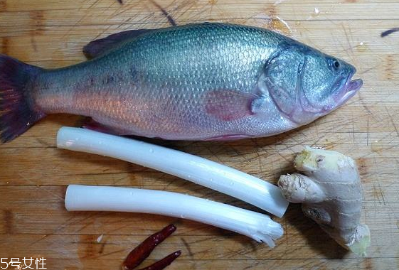 鱸魚如何去腥味 教你一招去腥味 鱸魚如何去腥味 教你一招去腥味