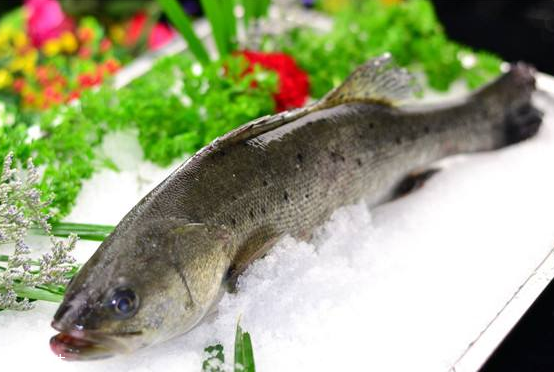 鱸魚(yú)可以做湯嗎 做湯很鮮美