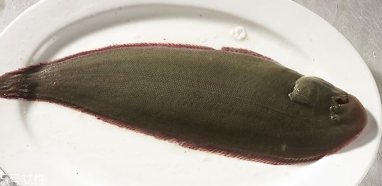 龍利魚為什么不能吃 新鮮才好吃 龍利魚為什么不能吃 新鮮才好吃