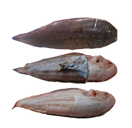 龍利魚可以做魚丸嗎 味道很鮮美 龍利魚可以做魚丸嗎 味道很鮮美