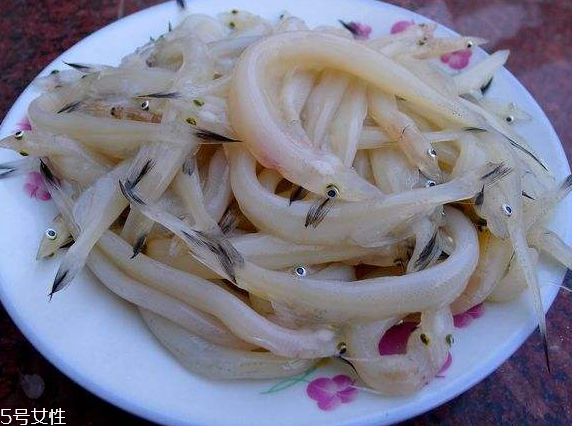 銀魚如何去腥 這幾步很關(guān)鍵 銀魚如何去腥 這幾步很關(guān)鍵