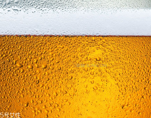 啤酒是碳酸飲料嗎 屬于這個(gè)類別 啤酒是碳酸飲料嗎 屬于這個(gè)類別