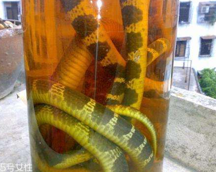 藥酒味道重怎么處理 這樣處理就對了 藥酒味道重怎么處理 這樣處理就對了