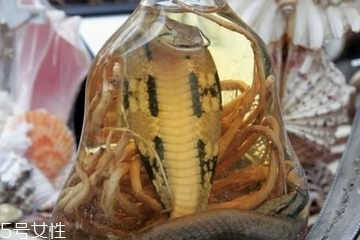 藥酒太苦可以加蜂蜜嗎 加的時機很重要 藥酒太苦可以加蜂蜜嗎 加的時機很重要