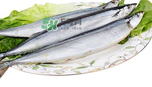 秋刀魚怎么處理？秋刀魚怎么挑選