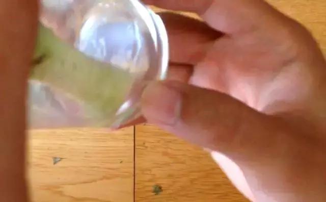 吃剩的菠蘿可以水種植嗎 這樣做菠蘿變盆栽 吃剩的菠蘿可以水種植嗎 這樣做菠蘿變盆栽