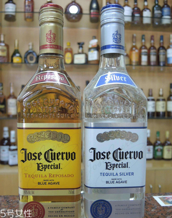 龍舌蘭酒好喝嗎 方法對(duì)了才好喝 龍舌蘭酒好喝嗎 方法對(duì)了才好喝