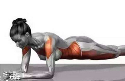 生理期可以做平板支撐嗎 平板支撐的正確姿勢 生理期可以做平板支撐嗎 平板支撐的正確姿勢