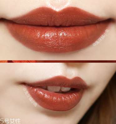 雅詩(shī)蘭黛130口紅試色 雅詩(shī)蘭黛130slow burn