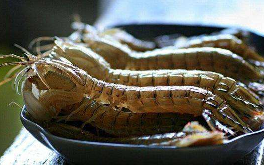 皮皮蝦死了能吃嗎 要看有沒(méi)有變質(zhì) 皮皮蝦死了能吃嗎 要看有沒(méi)有變質(zhì)