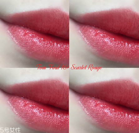 tf黑管15和16哪個(gè)好看 tf黑管15和16號(hào)試色及價(jià)格