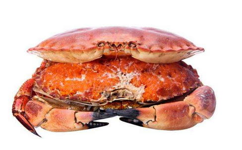 面包蟹為什么便宜 品質(zhì)有好有壞 面包蟹為什么便宜 品質(zhì)有好有壞