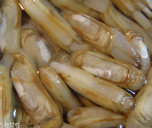 蟶子為什么怕鹽 原來因為這個 蟶子為什么怕鹽 原來因為這個